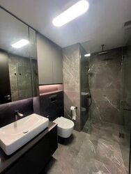 Irwell Hill Residences (D9), Apartment #458494751